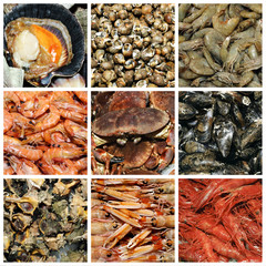 Sticker - seafood collage