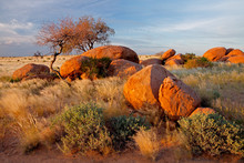 Granite Boulders And Trees, Namibia, Southern Africa