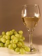 White wine in a glass with grapes
