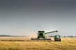 © TSpider - wheat