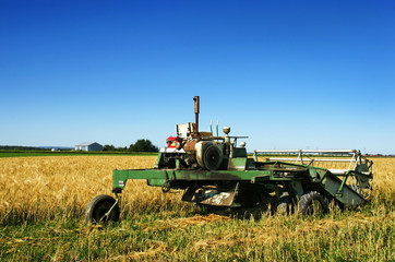 Wall Mural - Old rusted combine harvester and barley field