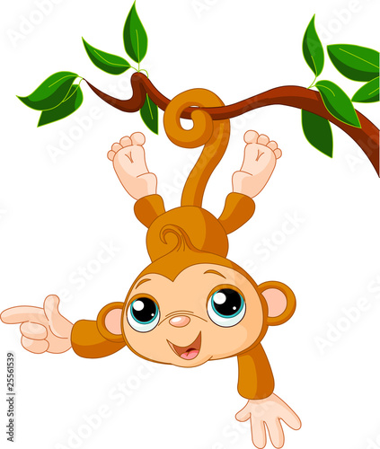 Obraz w ramie Baby monkey on a tree showing