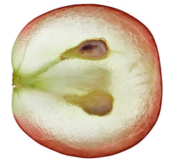 Translucent slice of red grape fruit, macro isolated on white