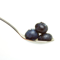 Wall Mural - Blueberries