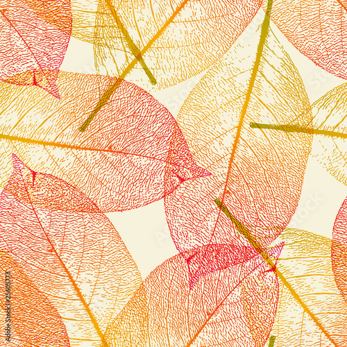  Fototapety Spa   liscie-w-kolorach-jesieni