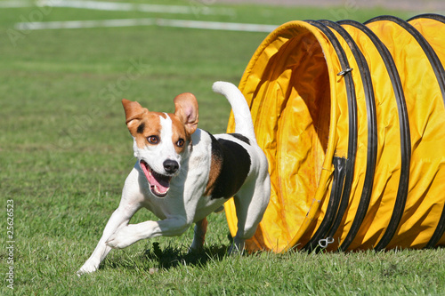 BeagleIM BeagleIM