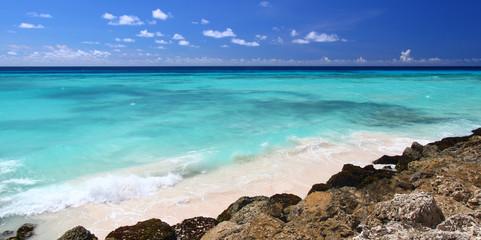 Rocky coastline of Barbados