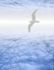 Canvas Print - Bird in serene cloudscape