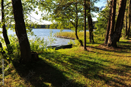 Boat on the lake side in the forest