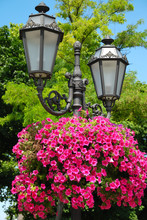 Decorative Street Lantern With Flowers