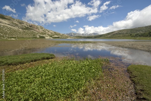 Corsica Ai Bordi Del Lago Di Nino Buy This Stock Photo And Explore Similar Images At Adobe Stock Adobe Stock