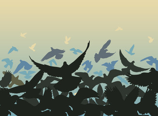 Wall Mural - pigeon edge