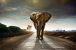 Leinwandbild Motiv Walking Elephant