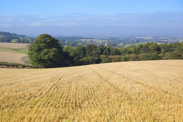 english landscape