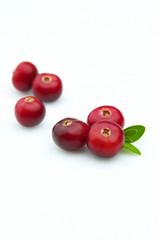 Wall Mural - Ripe cranberry