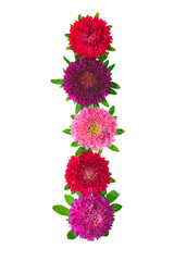 Wall Mural - floral alphabet