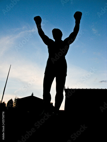 Fighter Wallpaper Mural