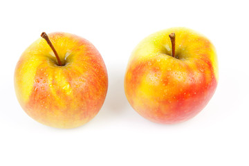 Two juicy apples with water drops over white background