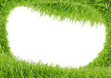 Fototapeta  - Green grass isolated on white background