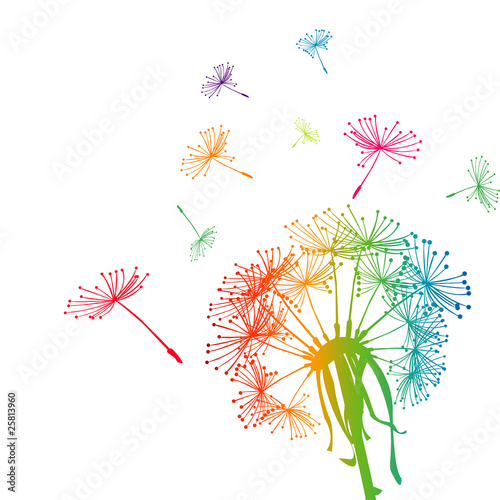 Obraz w ramie Colored dandelion with colored seeds