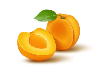 Sticker - Apricot