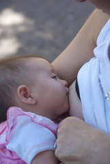 Wall Mural - Newborn Baby Breastfeeding