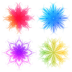 Canvas Print - Multicolored abstract vector flowers