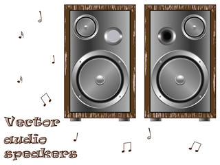 wooden speakers against white