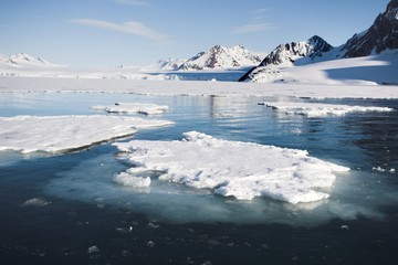arctic landscape (spitsbergen)