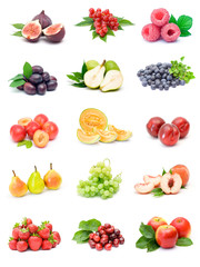 fruit collection