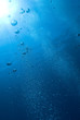 Underwater view of air bubbles heading towards the surface.