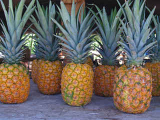  Pineapples at a Roadside Market in Hawaii