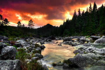 Wall Mural - Mountain River