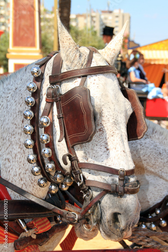 Caballo Cabalgando Cabalgar Buy This Stock Photo And Explore Similar Images At Adobe Stock Adobe Stock