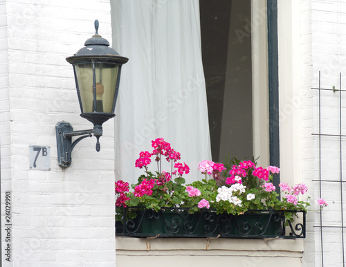 Naklejka na szybę flower box with lantern