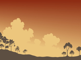 Wall Mural - trees and sky