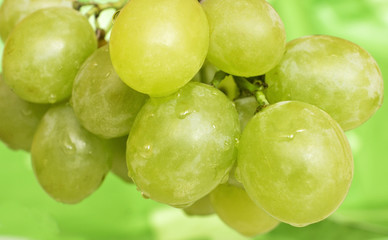  sweet ripe grapes