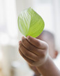 © JGI/Jamie Grill/Blend Images - Black boy holding green leaf