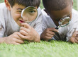 © JGI/Jamie Grill/Blend Images - Boys looking at grass through magnifying glasses