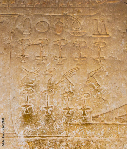 Naklejka na kafelki egyptian hieroglyphics from saqqarah, cairo