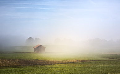 Wall Mural - nebel