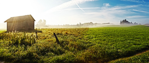 Wall Mural - nebel
