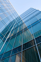 Wall Mural - modern glass silhouettes of skyscrapers at night