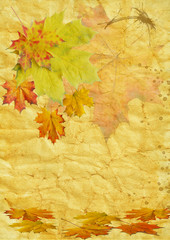 Wall Mural - autumn leaf on old paper