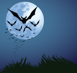 halloween night