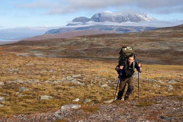 Wall Mural - hiker in laponia
