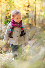 Canvas Print - Toddler girl walking at autumn forest