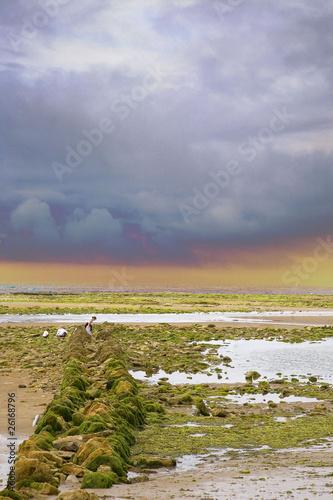 France 85 Jard Sur Mer Plage Du Veillon Buy This Stock