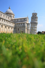 Wall Mural - Leaning tower of Pisa