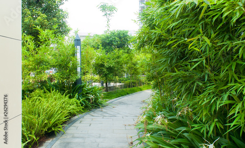 Fototapeta na wymiar Tranquil Garden Walkway